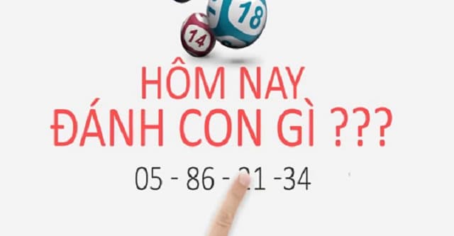 Giải mã con lô đẹp nhất từ 20 - 87