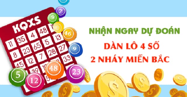 Lời khuyên cho người mới khi chọn con lô đẹp nhất