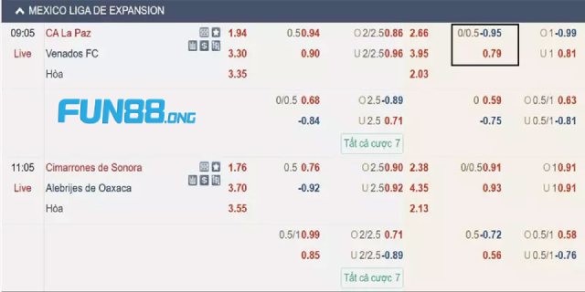 Ví dụ về cách tính tiền trong kèo đồng nửa