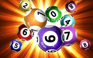 Bạch thủ lô là gì?