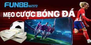 Cập nhật tin tức liên tục